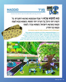 THE ALIENS HAGGADAH & The Aliens Chronicles