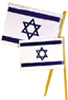 Israel Flag (1 Dozen)
