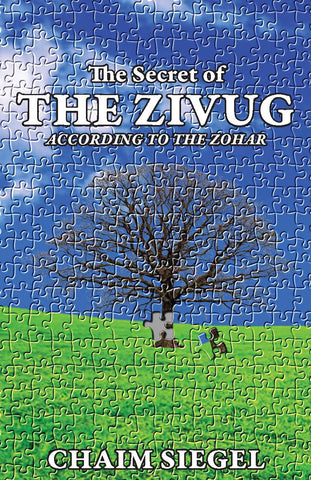 The Zivug